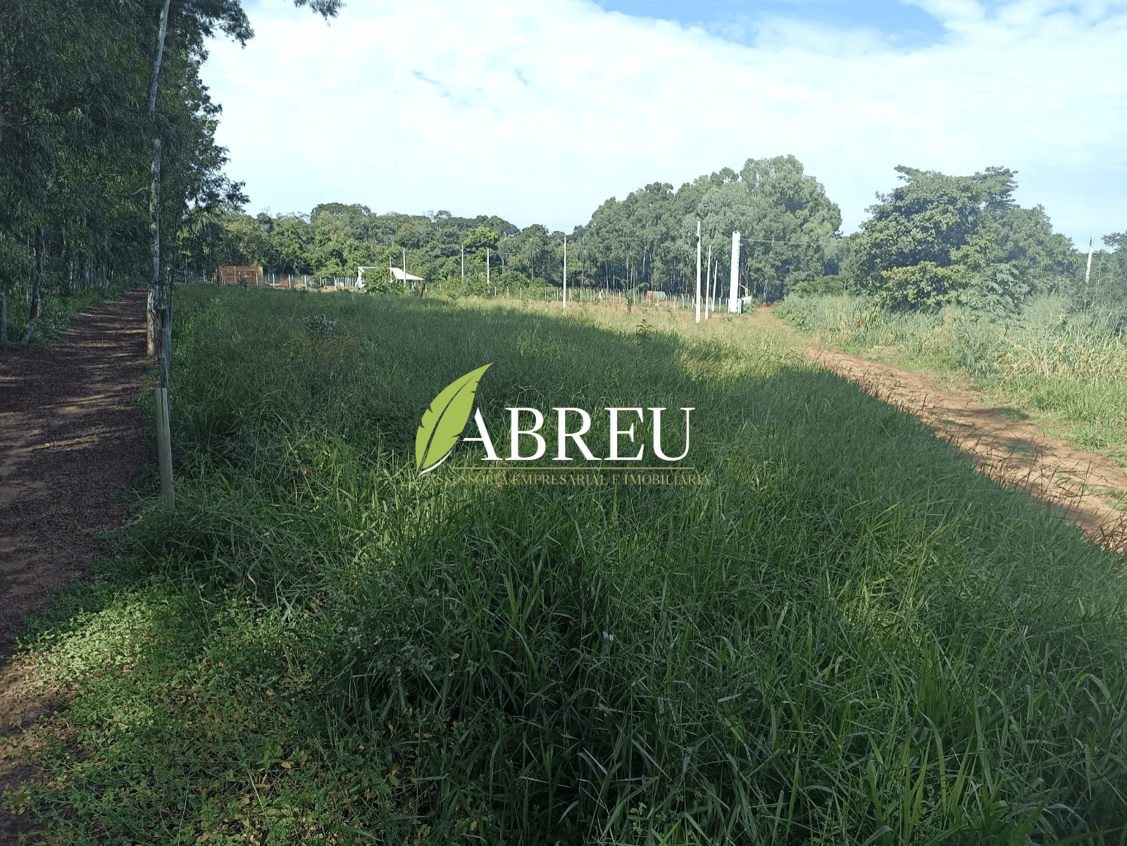 Chácara com área de 2.000 m² por R$ 75.000,00 – Zona Rural- Cosmorama/SP