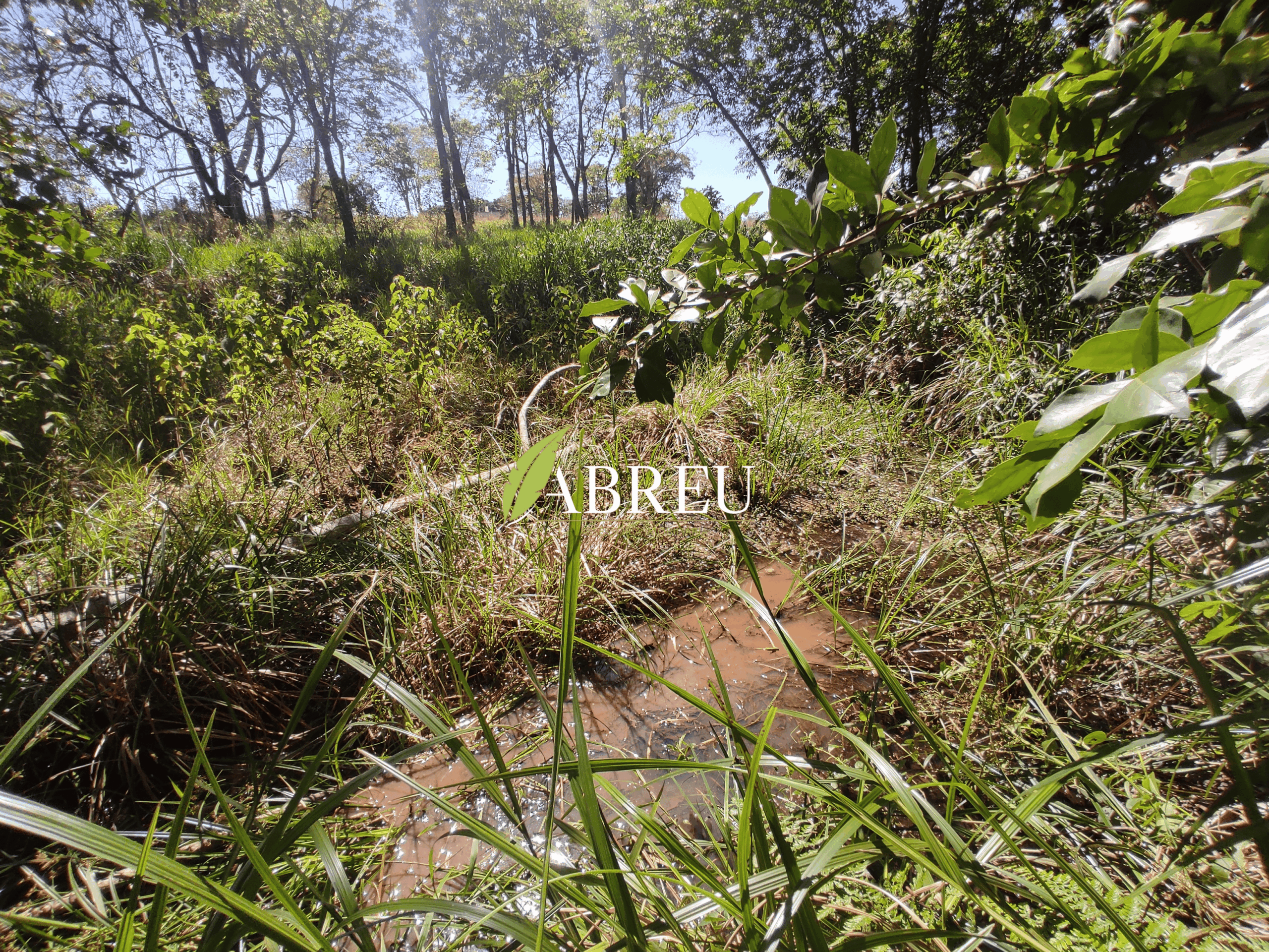 Sítio à venda, 1 alqueire por R$ 300.000,00 – Zona Rural – Cosmorama/SP